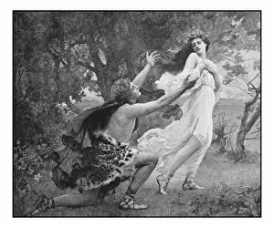 Greek Mythology Decor Prints Gallery: Antique photo of paintings: Apollo and Daphne
