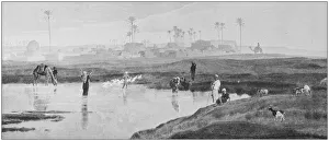Images Dated 13th October 2017: Antique photo of paintings: Egypt