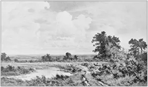 Antique photo of paintings: Landscape