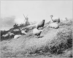 Antique photo of paintings: Landscape