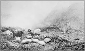 Antique photo of paintings: Landscape