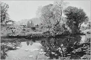 Antique photo of paintings: Landscape