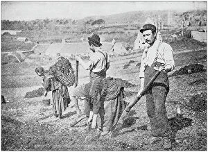 Images Dated 3rd October 2018: Antique photograph: Planting Potatoes in Skye