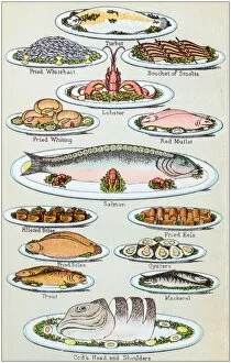 Images Dated 19th October 2017: Antique recipes book engraving illustration: Seafood