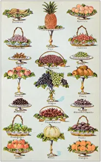 Antique recipes book engraving illustration: Fruit