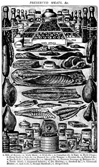 Antique recipes book engraving illustration: Preserved meats