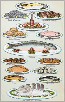 Antique Recipe Book Engraving Illustrations Prints: Antique recipes book engraving illustration: Seafood