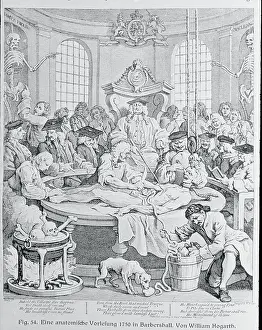 Antomical Lecture