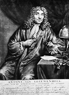 Antoni van Leeuwenhoek Engraving