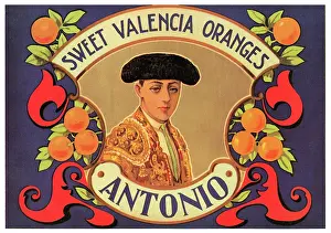 Oranges Prints: Antonio Sweet Valencia Oranges