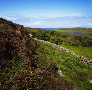 Co Antrim, Rathlin Island, Ireland