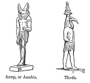 Egyptian Culture Collection: Anubis and Thoth