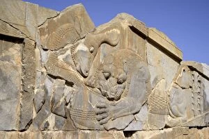 Images Dated 11th May 2012: Apadana, Palace of Darius, Lion and bull combat