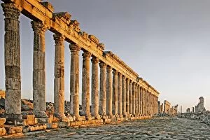 Images Dated 31st December 2016: Apamea, Syria