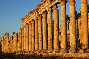 Images Dated 23rd December 2016: Apamea, Syria