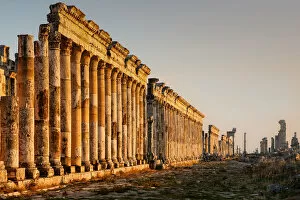Images Dated 23rd December 2016: Apamea, Syria