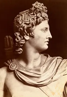 Apollo Di Bellvedere, Statue of Apollo in The Vatican, Rome