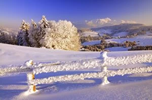Appenzell Collection: Appenzell winter landscape in evening light with view on the Santis
