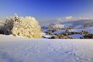 Appenzell Collection: Appenzeller winter landscape in evening light with view on the Santis, Appenzell, Switzerland
