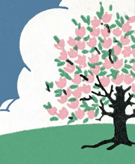 Environmental Conservation Collection: Apple blossom tree