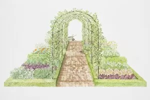 Formal Garden Collection: Apple and pear trees on arched trellis, flanked by vegetable, herb and flower beds