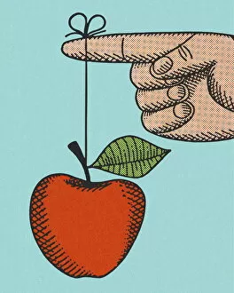 Images Dated 14th November 2012: An Apple Tied to a Finger