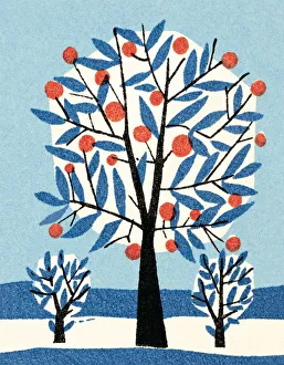 Blue Background Gallery: Apple tree in winter