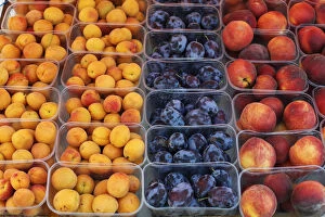 Nourishment Collection: Apricot, plums and peaches in plastic cups, Wachau, Lower Austria, Austria, Europe