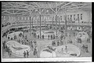 Aquarium Prints: Aquarium in Castle Garden
