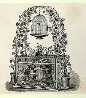 Aquarium with Trellis and Hanging Bird Cage
