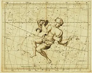 Astrology Prints: Aquarius