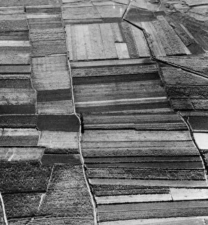 Aerial Gallery: Arable Land
