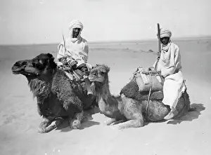 ARABS AND CAMELS