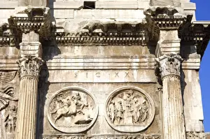 Nature’s Masterpiece: Arc of Costantine Rome Italy