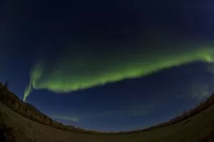 Northern Lights Collection: Arc of northern polar lights, Aurora Borealis, green, near Whitehorse, Yukon Territory, Canada