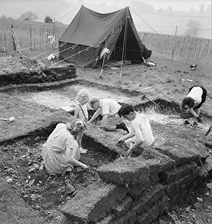 Shovel Prints: Archaeological Dig