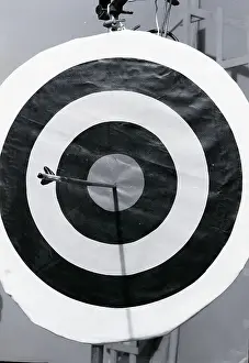 Archery Prints: Archery Target With Arrow in the Bull's Eye