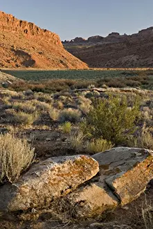 Arches National Park, Utah, USA
