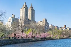 Architectures of Central Park West Historic District behind the rows of Cherry blossoms trees