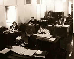 Archive Shot / Group of Office Workers Sitting at their Desks