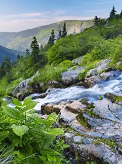 Scenery Prints: area, backdrops, bodies, body, brook, brooks, cascade, cascades, cataracts, chains
