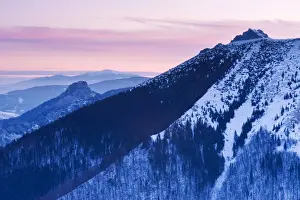 Wintertime Prints: area, backdrops, break, central, chains, coniferous, countryside, covered, eastern