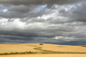 Arid Climate Collection: Arid Climate, Arid Landscape, Barren, Caledon, Desert, Dry, Hill, Landscape, Nature