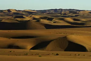 Namibia Collection: arid environment, day, desert, dunes, horizontal, landscape, namibia, nature, no people