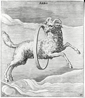 Aries Constellation