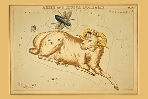 Astrology Prints: Aries and Musca Borealis