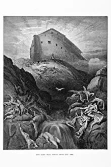 Visual Art Gallery: The Ark