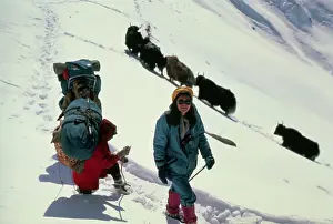Himalayas Prints: Arlene Blum Walking Through the Snow