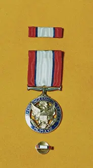 Honor Prints: Army Distinguished Service Medal