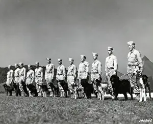 Leash Prints: Army Dogs Ready for Inspection